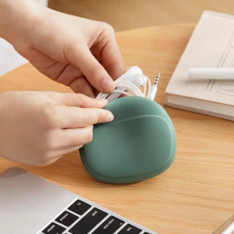 Earphone Storage Case