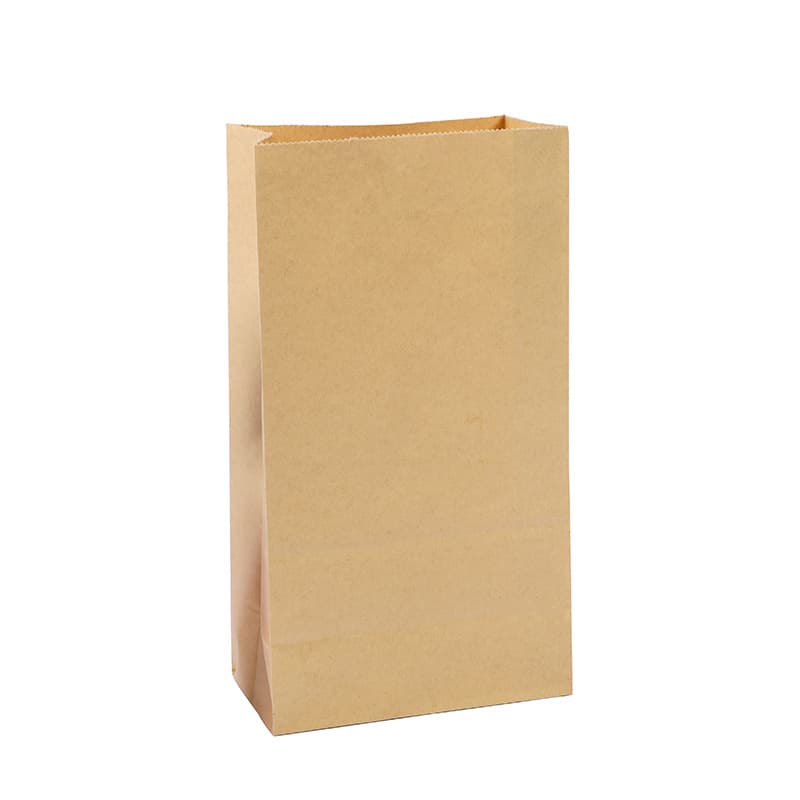 Natural Color Kraft Paper Bag