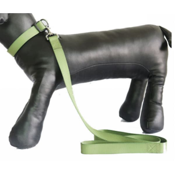 Slip Leash