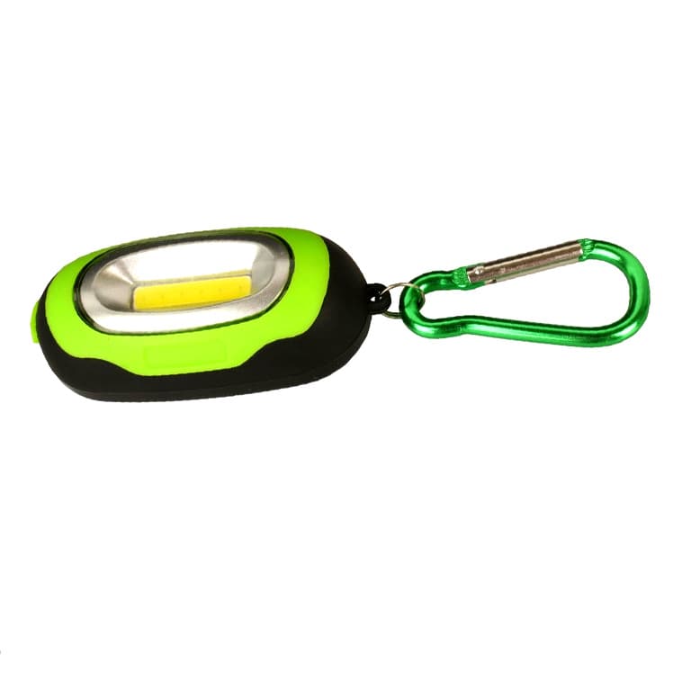 Carabiner With Light