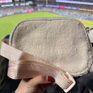 belt bag